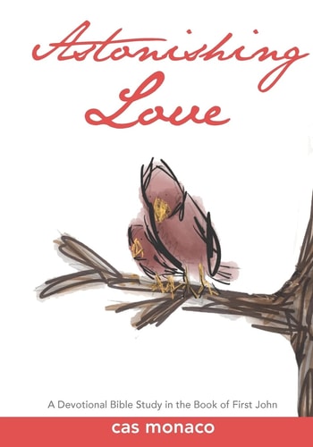 Astonishing Love A Devotional Bible Study on the Book of I John