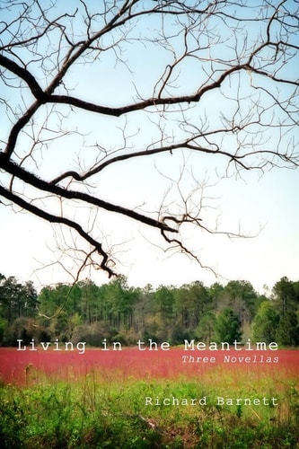 Living in the Meantime Three Novellas
