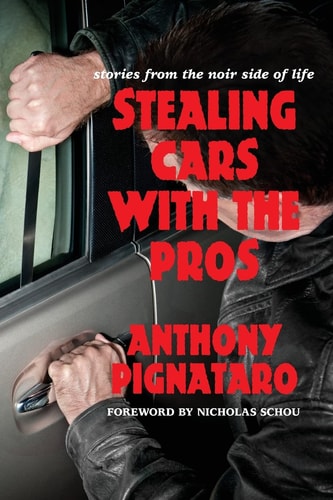 Stealing Cars with the Pros Stories from the Noir Side of Life