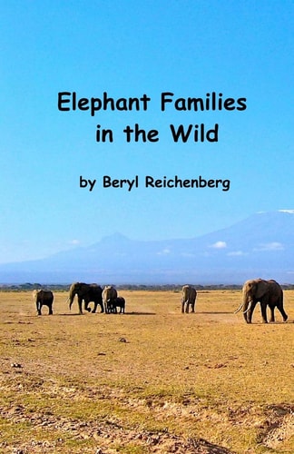 Elephant Families in the Wild How Do Elephant Families Live in the Wild?
