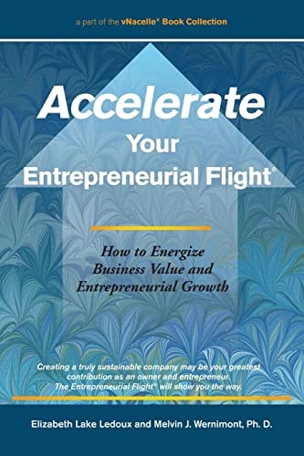 Accelerate Your Entrepreneurial Flight How to Energize Business Value and Entrepreneurial Growth
