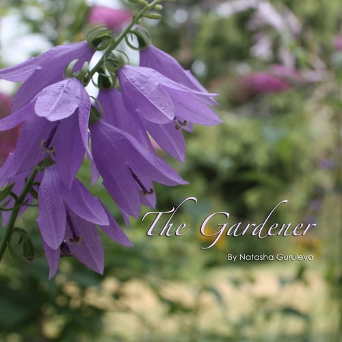 The Gardener The Artist's Book