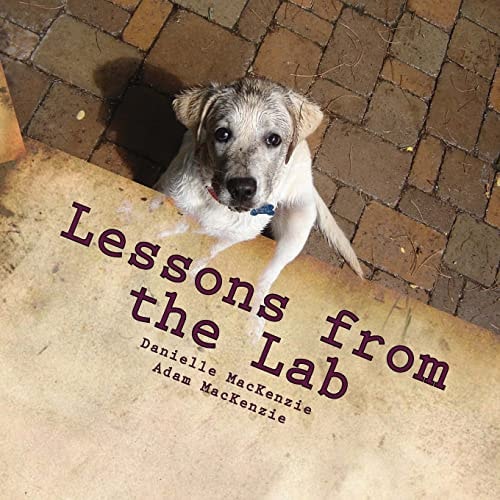 Lessons from the Lab 26 Life Lessons You Can Learn from a Dog... a to Z