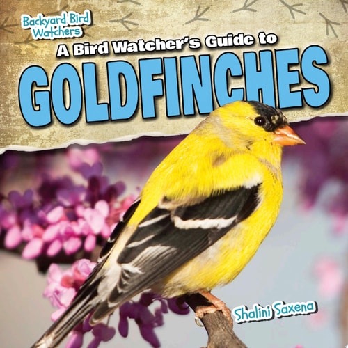 A Bird Watcher's Guide to Goldfinches