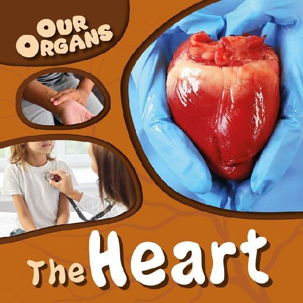 The Heart