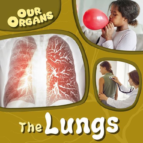 The Lungs