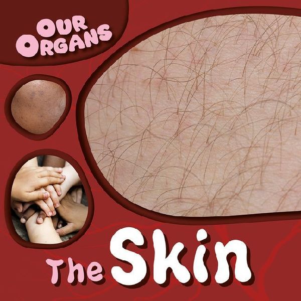 The Skin