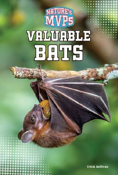 Valuable Bats