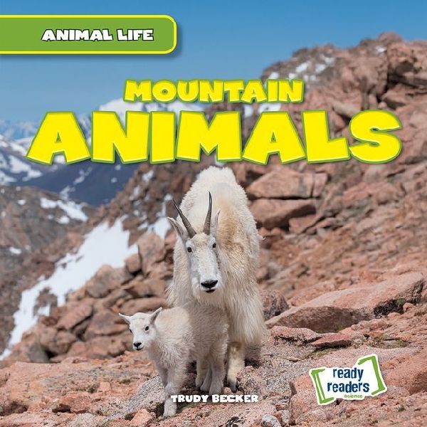 Mountain Animals