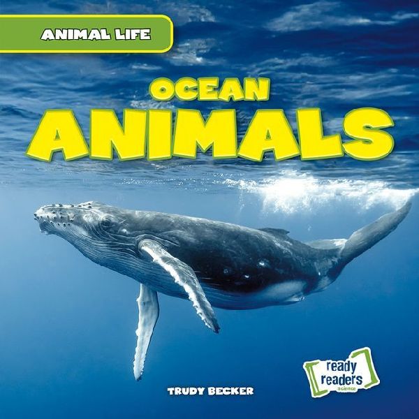 Ocean Animals