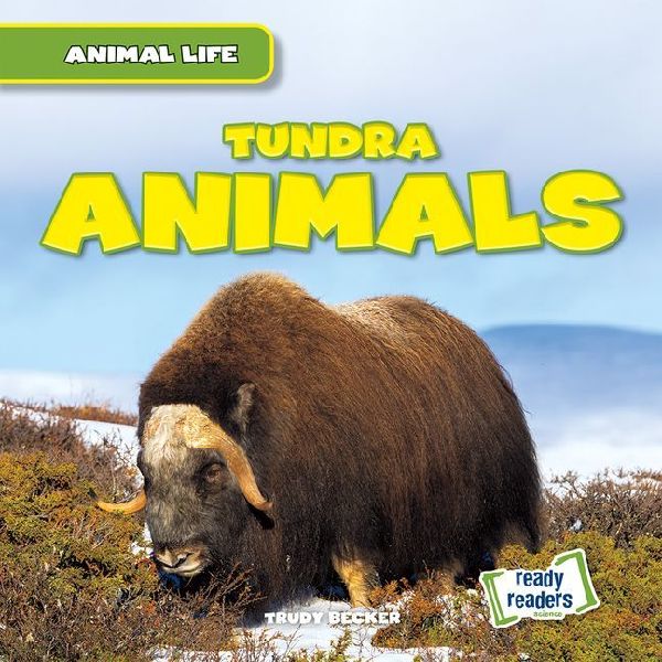 Tundra Animals