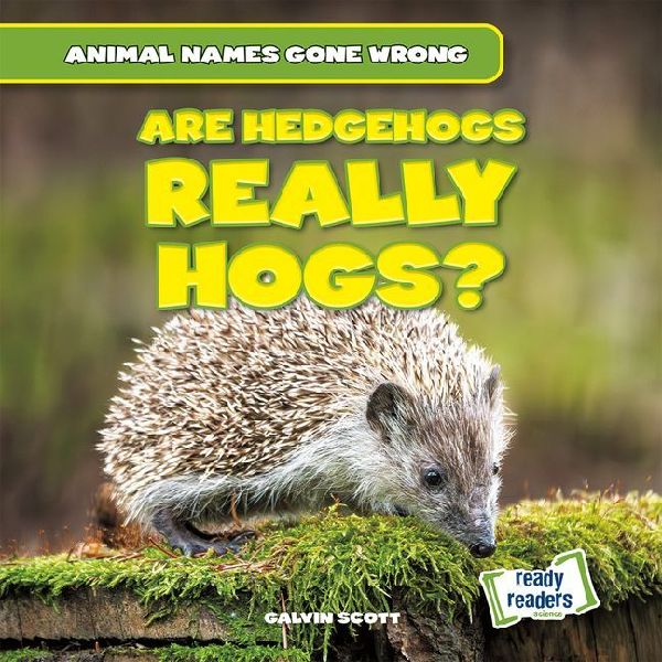 Are Hedgehogs Really Hogs?