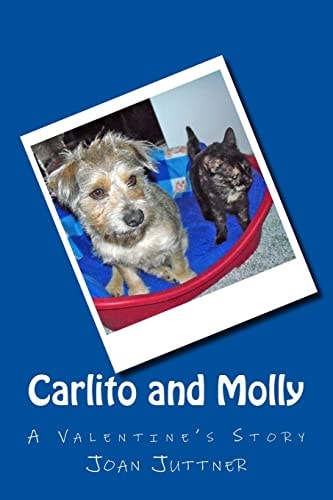 Carlito and Molly A Valentine's Story