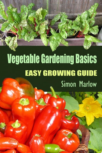 Vegetable Gardening Basics