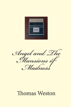 Angel and The Mansions of Madness