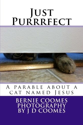 Just Purrrfect A Parable about a Cat Named Jesus