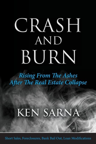 Crash and Burn Rising From The Ashes After The Real Estate Collapse