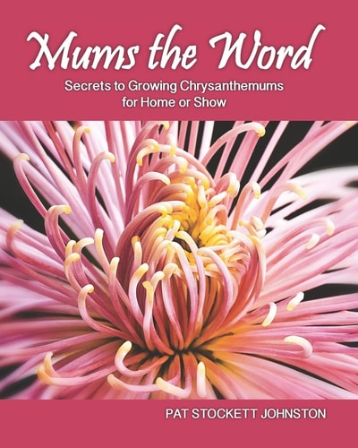 Mums the Word Secrets to Growing Chrysanthemums for Home Or Show