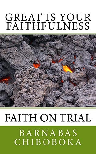 Great Is Your Faithfulness Faith on Trial Through a Pituitary Tumour