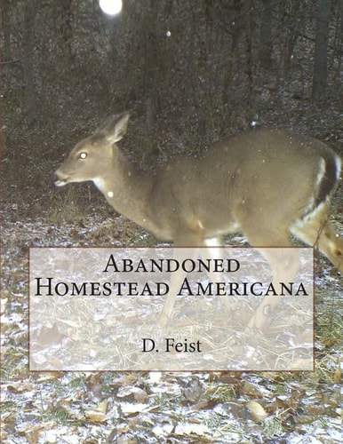 Abandoned Homestead Americana