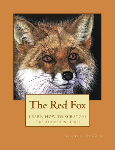 The Red Fox Learn How to Scratch! The Art of Fine Lines