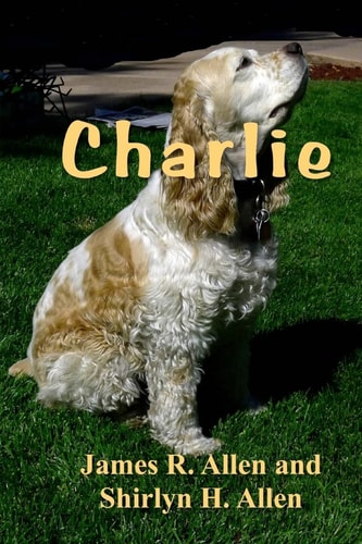 Charlie The Neighborhood Detective