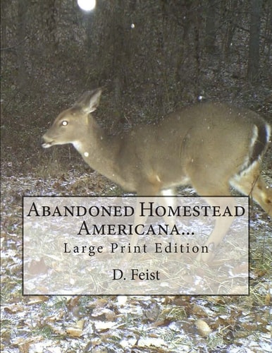 Abandoned Homestead Americana...