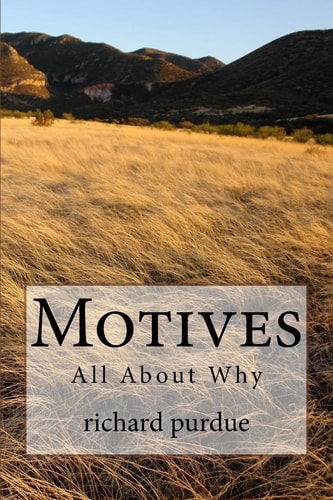 Motives All about Why
