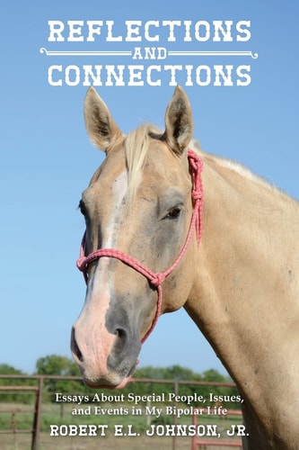 Reflections and Connections Essays About Special People, Issues, and Events in My Bipolar Life