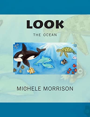 Look the Ocean