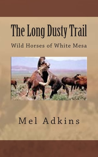 The Long Dusty Trail Wild Horses of White Mesa