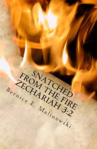 Snatched From the Fire Zechariah 3 2