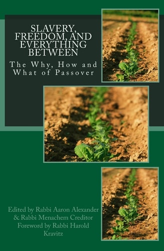 Slavery, Freedom, and Everything Between The Why, how and what of Passover