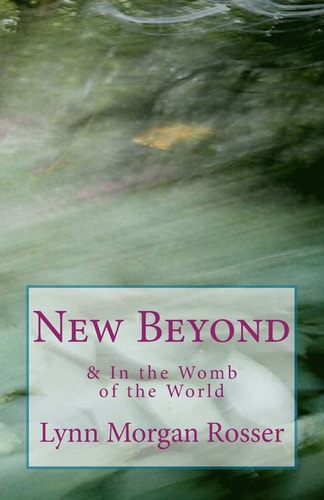 New Beyond and in the Womb of the World Poems from the Heart of Special-Needs Parenting
