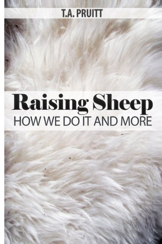 Raising Sheep - How We Do It and More
