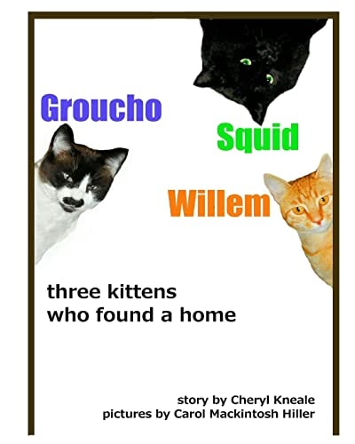 Groucho * Squid * Willem Three Kittens Who Found a Home