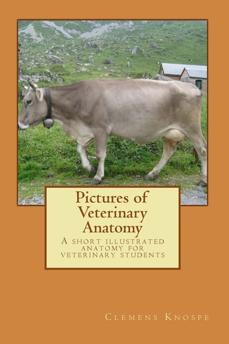 Pictures of Veterinary Anatomy A Short Illustrated Anatomy for Veterinary Students