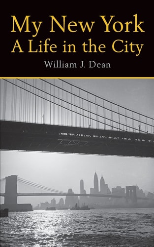 My New York a Life in the City