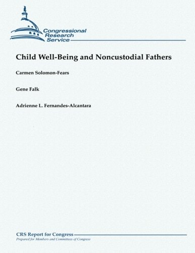 Child Well-Being and Noncustodial Fathers