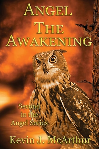 Angel The Awakening