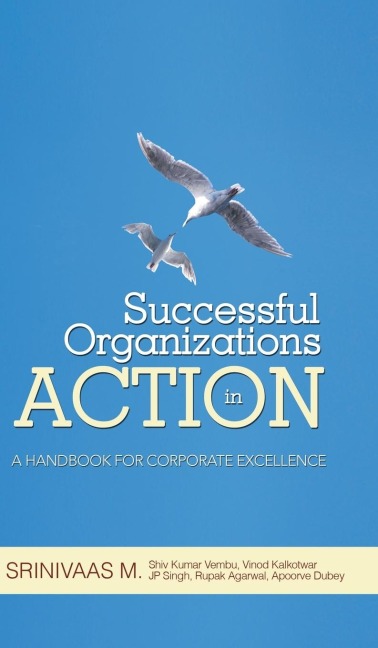 Successful Organizations in Action: A Handbook for Corporate Excellence