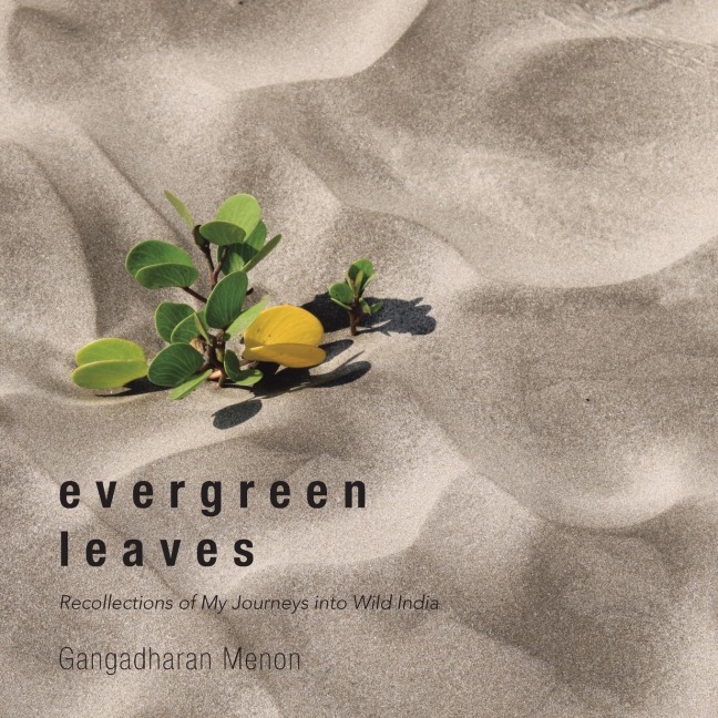 Evergreen Leaves: Recollections of My Journeys into Wild India