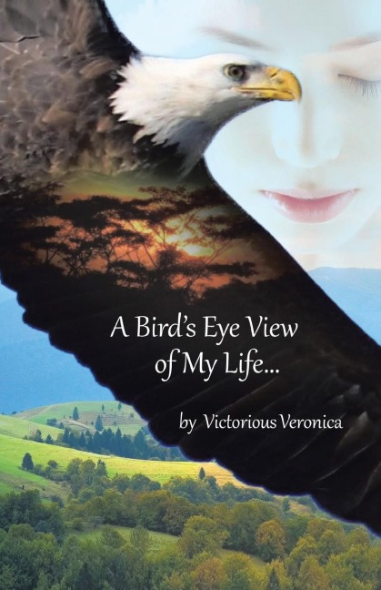 A Birds Eye View of My Life