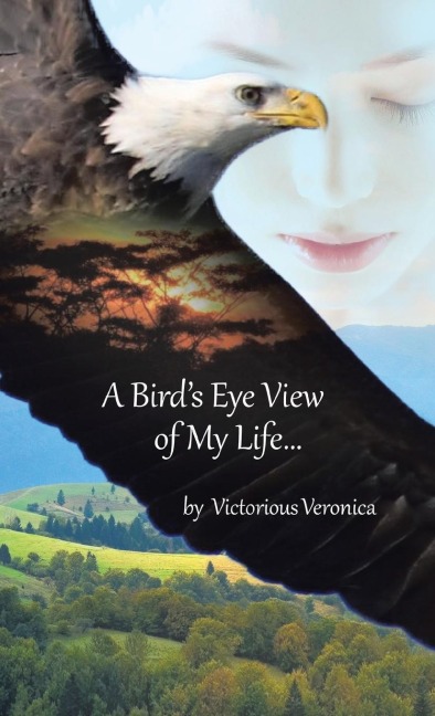 A Birds Eye View of My Life