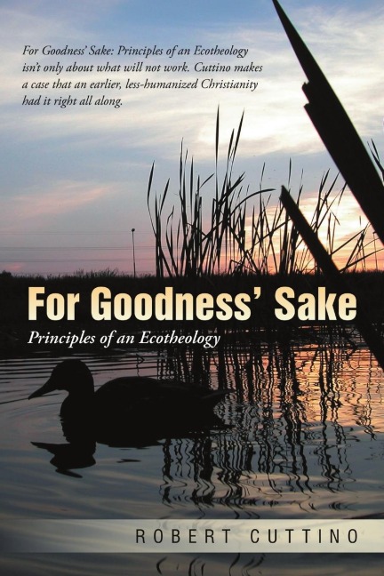 For Goodness Sake: Principles of an Ecotheology