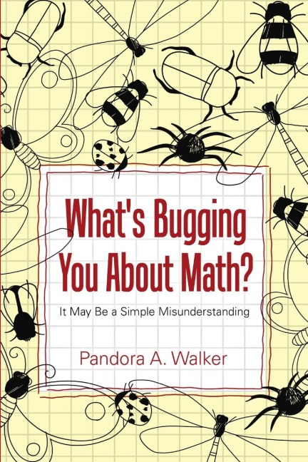 Whats Bugging You About Math?