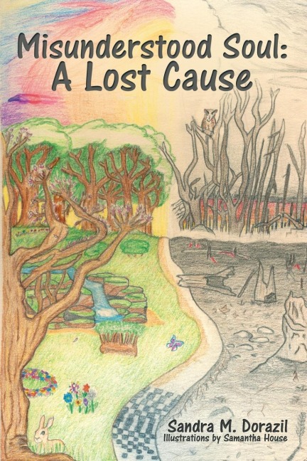 Misunderstood Soul: A Lost Cause