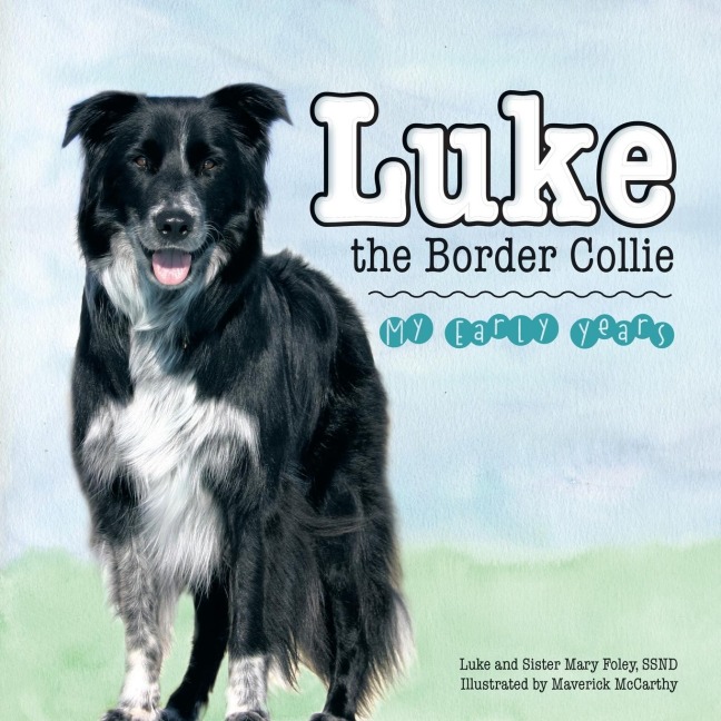 Luke the Border Collie: My Early Years