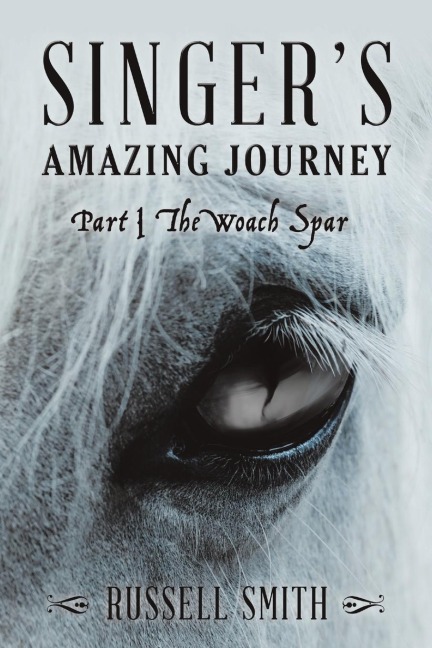 Singers Amazing Journey: Part I The Woach Spar