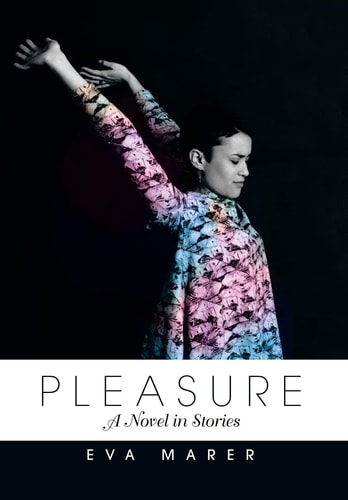 Pleasure A Novel in Stories